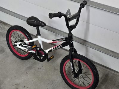 Giant Animator 16" wheeled just tuned up