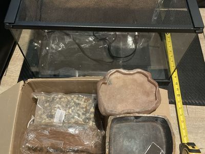 Glass Reptile Terrarium Tank with Mesh Screen Lid and Accessories