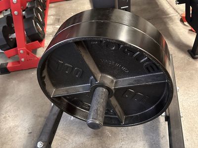 Rogue Deep Dish Plate 100LB Pair