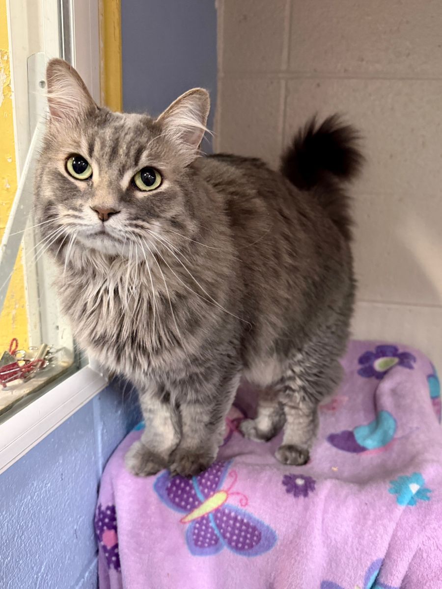 Helena would love to meet you!