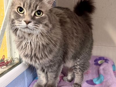 Helena would love to meet you!