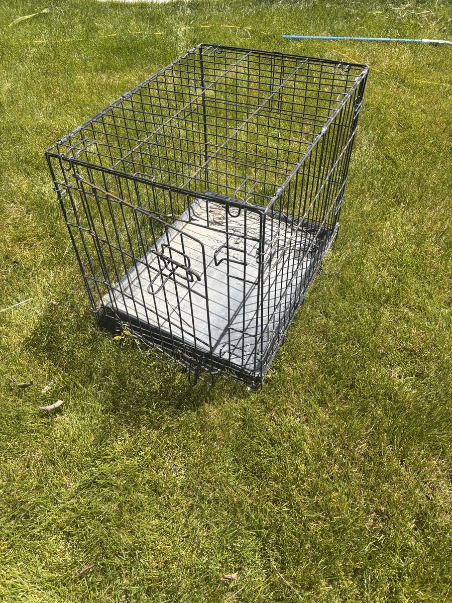 Small animal cage