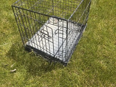 Small animal cage
