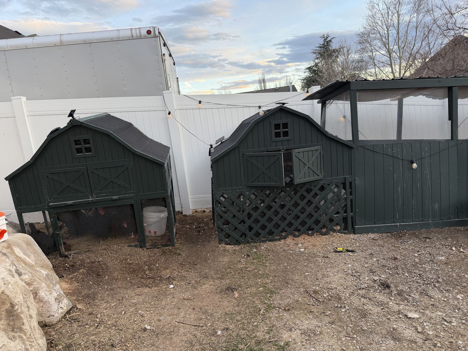 Large coop hens up for grabs