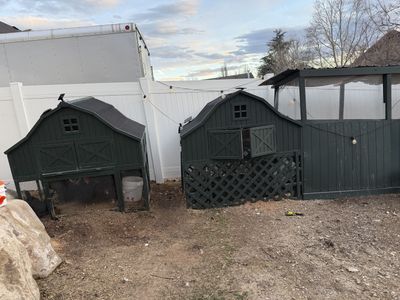 Large coop hens up for grabs