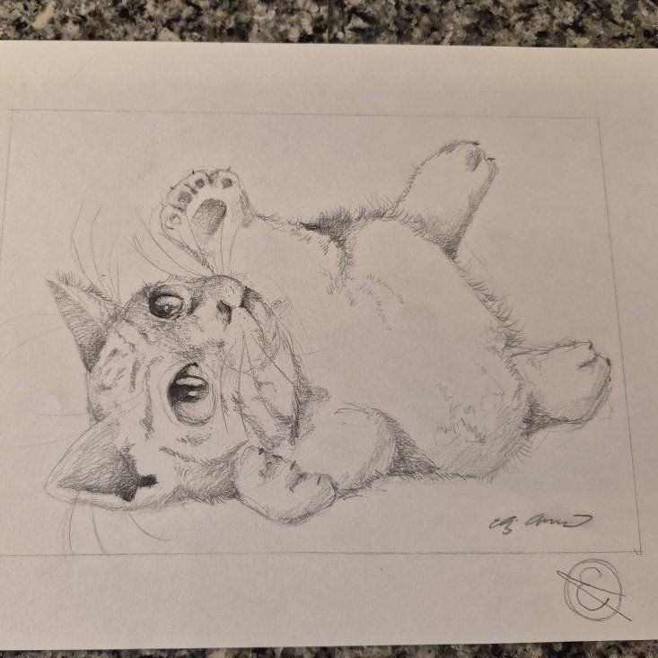 Hand-Drawn Kitten Sketches - Set of 2 Pencil Drawings (8.5" x 11") Original Art