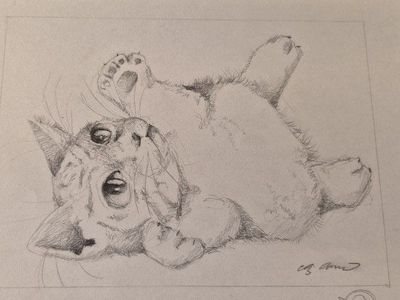 Hand-Drawn Kitten Sketches - Set of 2 Pencil Drawings (8.5" x 11") Original Art