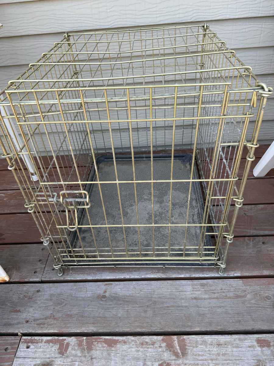 Pet carrier-wire