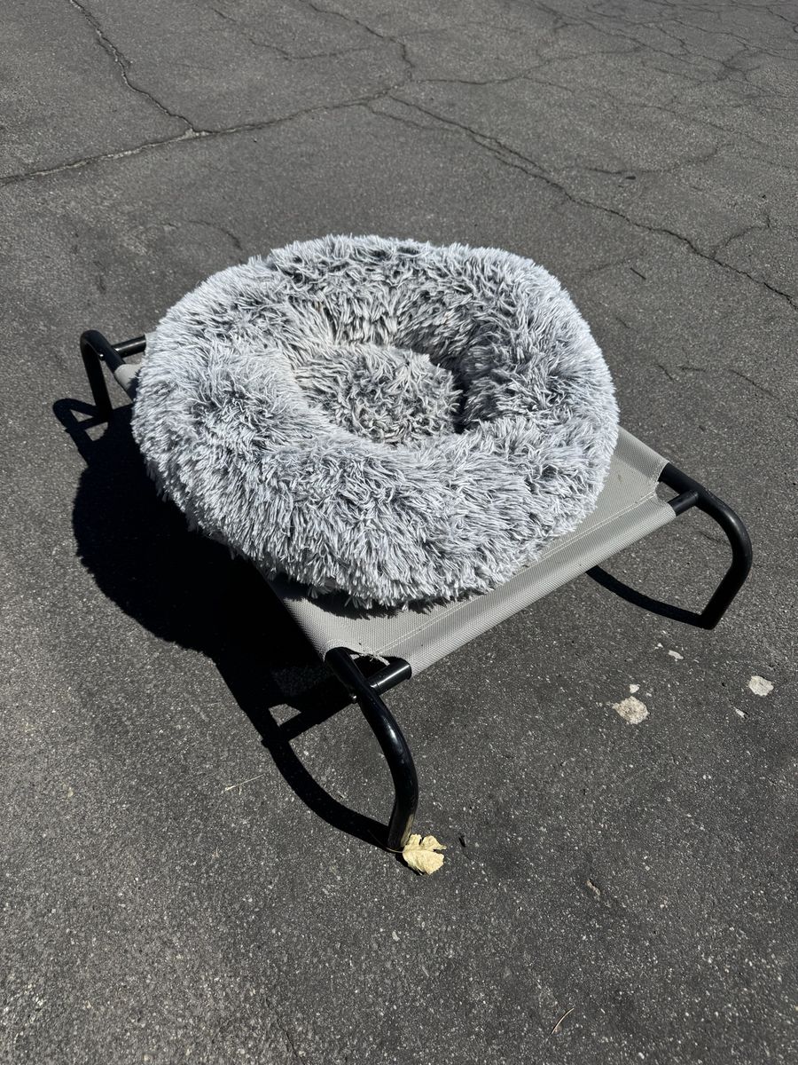 2 Dog Beds Great Condition!