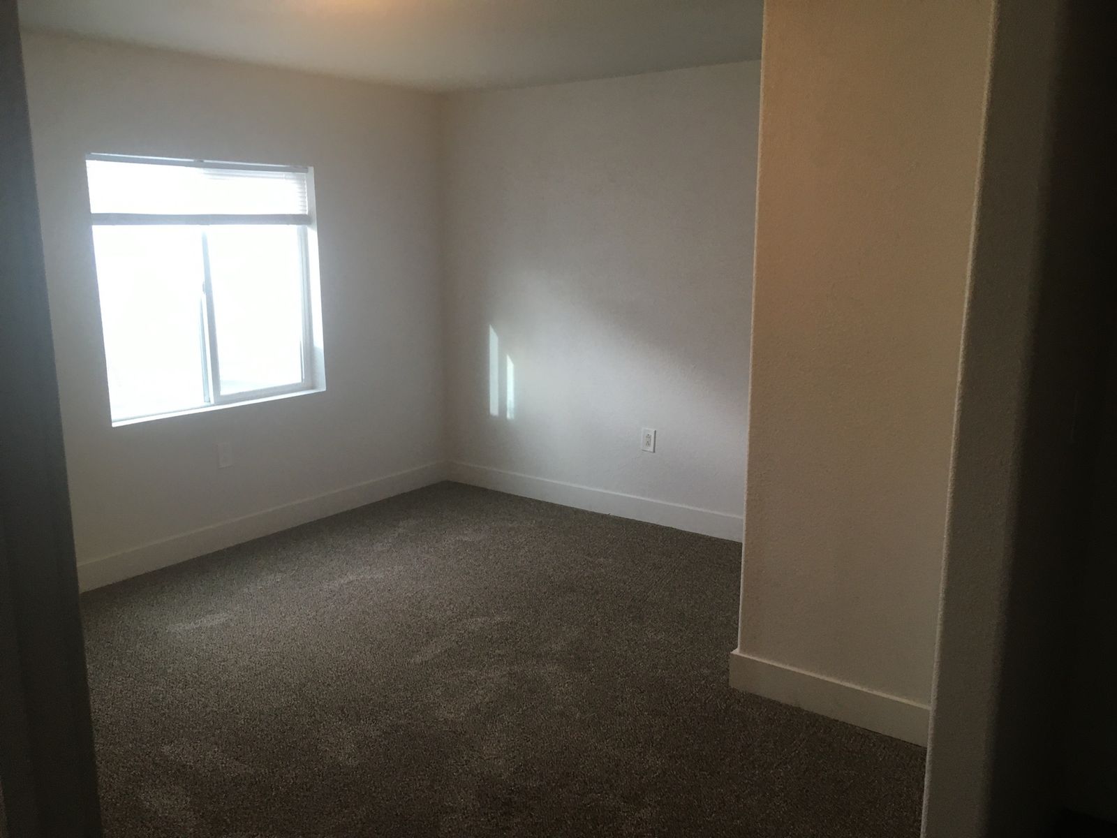 3 bed one bath basement apartment