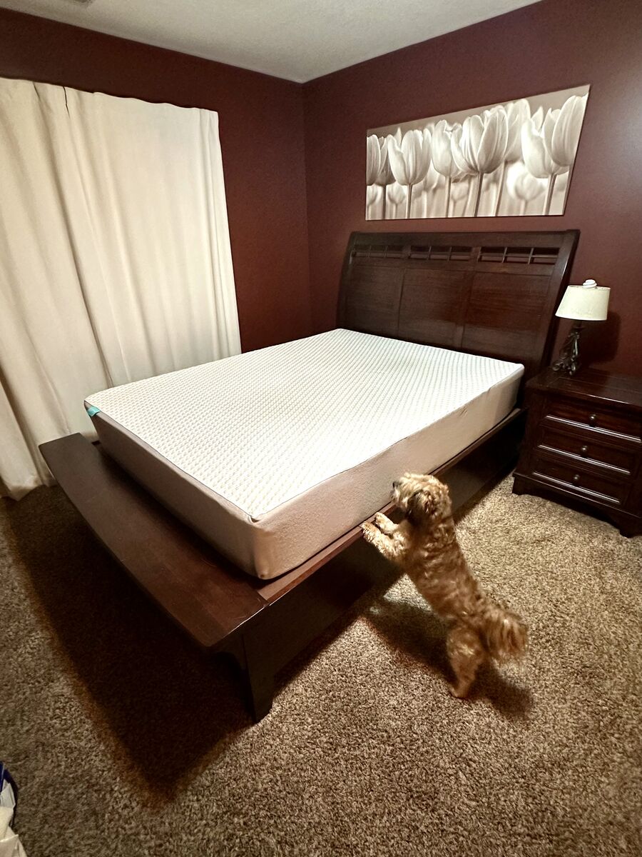 Queen Bed frame solid wood