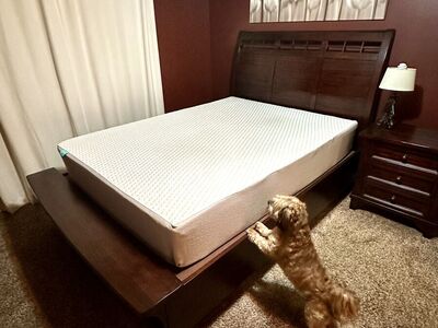 Queen Bed frame solid wood