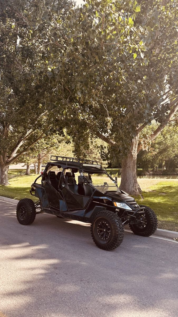 Arctic Cat Wildcat 1000 4X Limited Edition