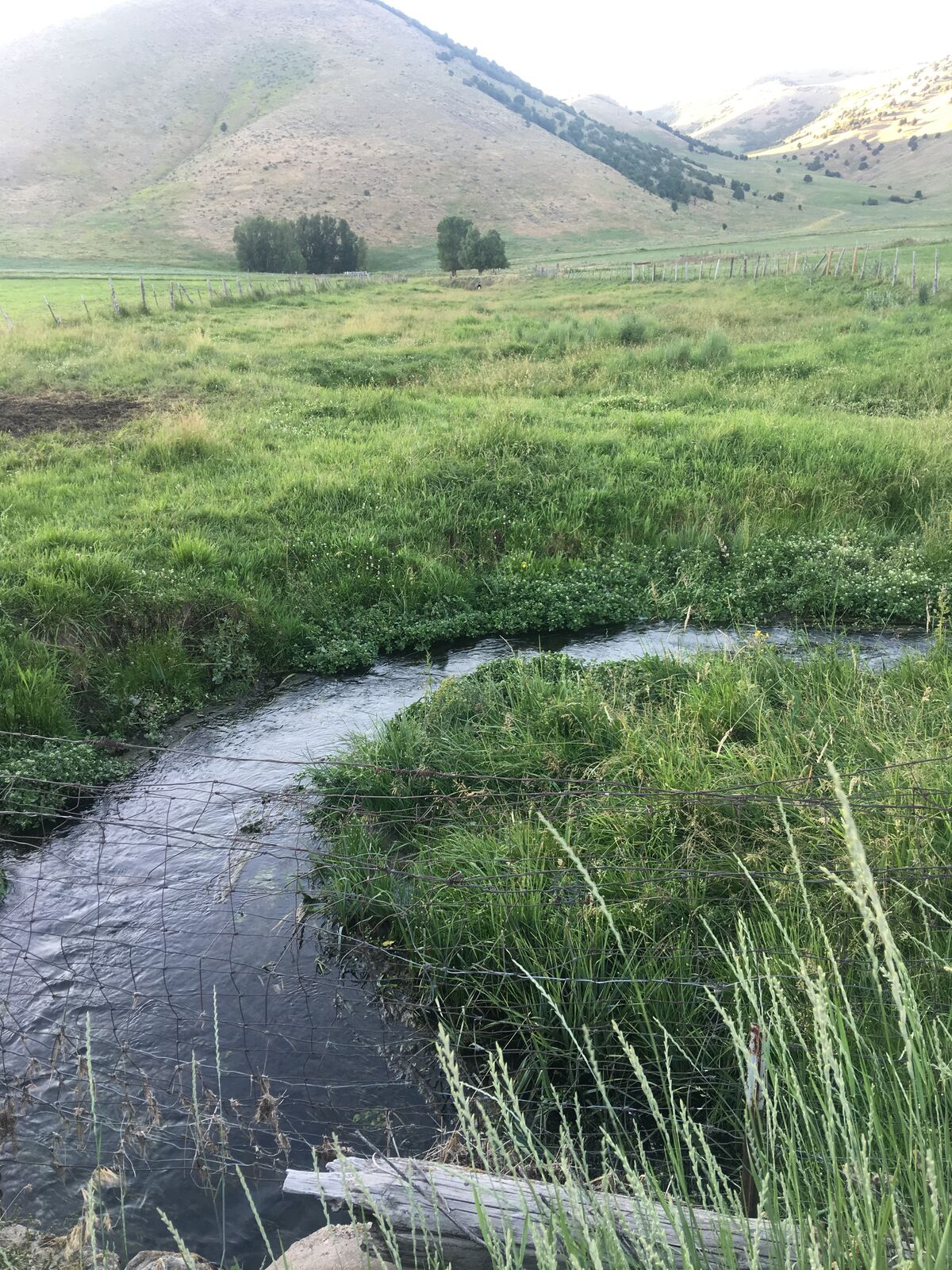 Mantua UT Secondary Water Shares