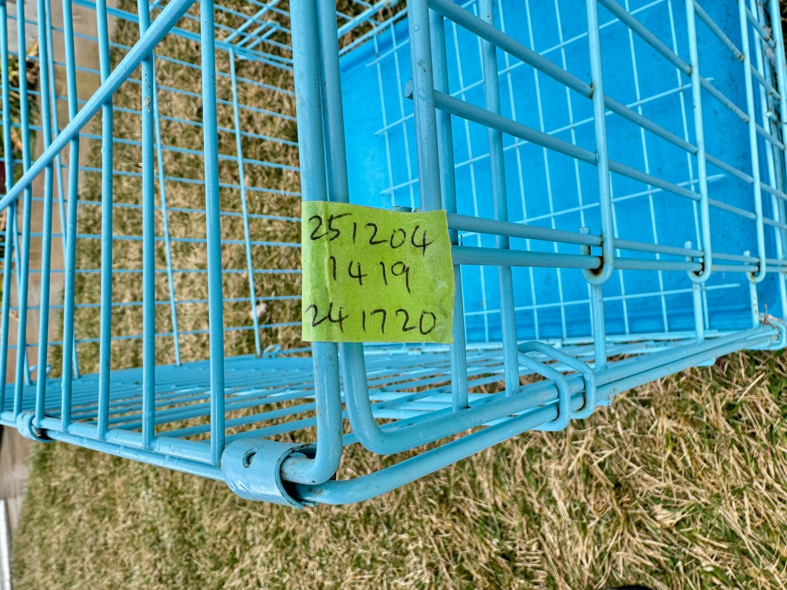 Sky Blue Folding Dog Crate 24"L