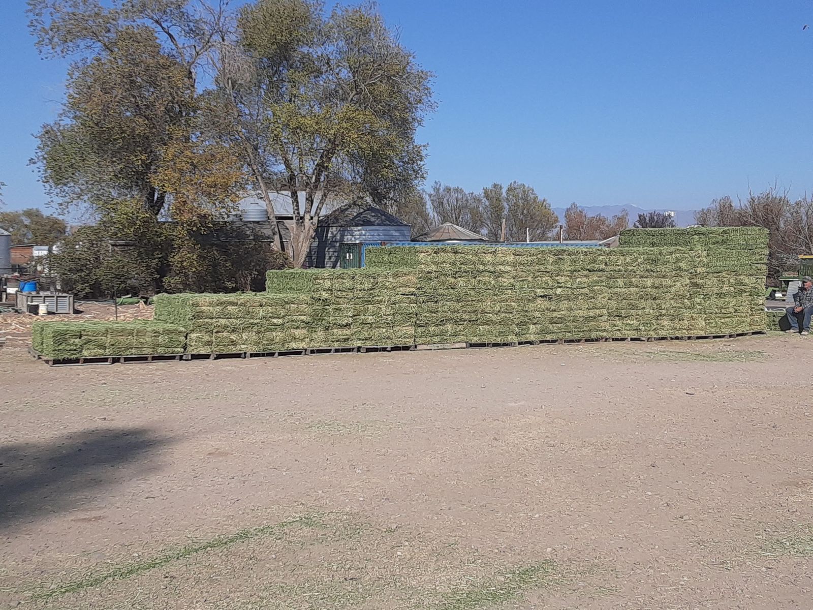 2nd Crop Alfalfa Hay