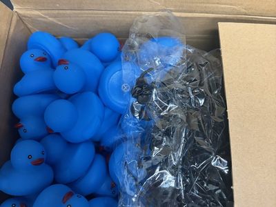 295 Blue Mini Rubber Ducks with Glasses
