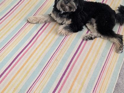 Beautiful 100% cotton rug from Annie Selke, 5' x 8'