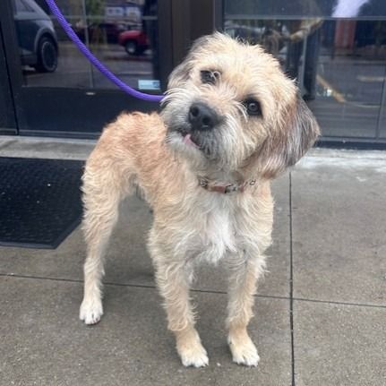 Hello my name is August