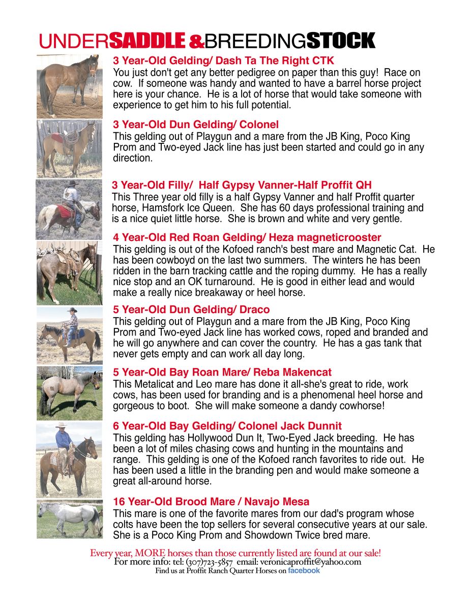 25th Annual Labor Day Weekend Horse Sale featuring bloodlines from BEST AQHA bloodlines