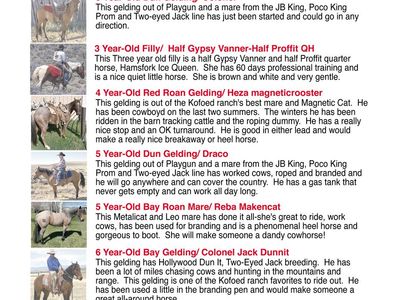 25th Annual Labor Day Weekend Horse Sale featuring bloodlines from BEST AQHA bloodlines