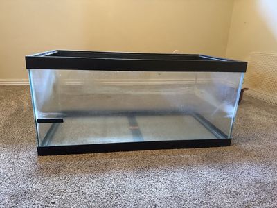 Large Glass Aquarium Tank - 40 Gallon