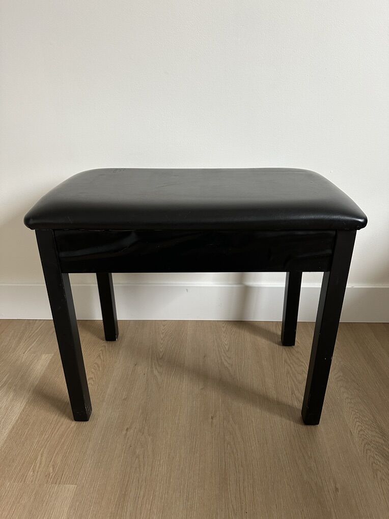 Padded Soft Piano Bench With Storage