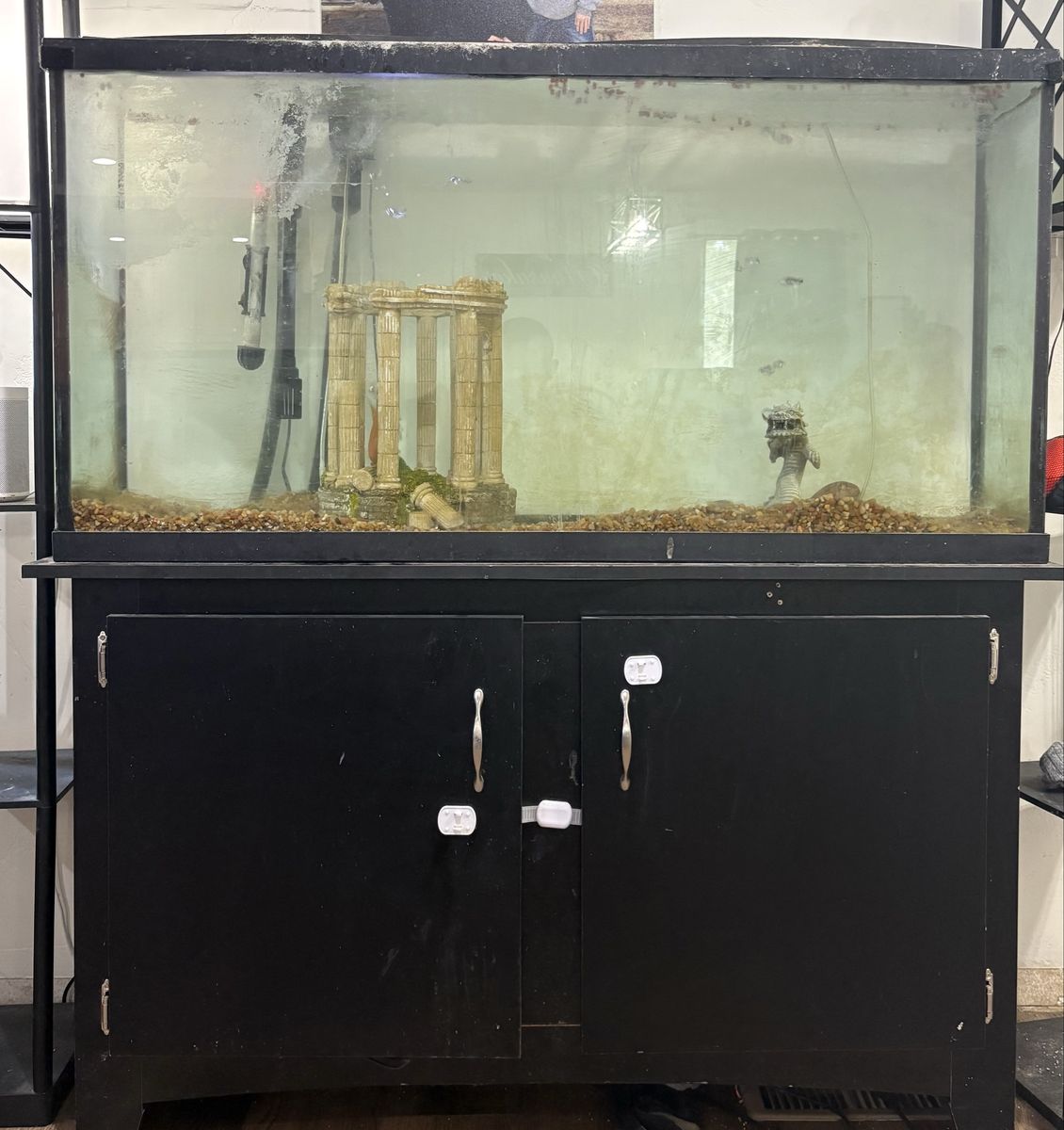 65 Gallon aquarium