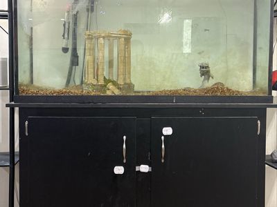 65 Gallon aquarium