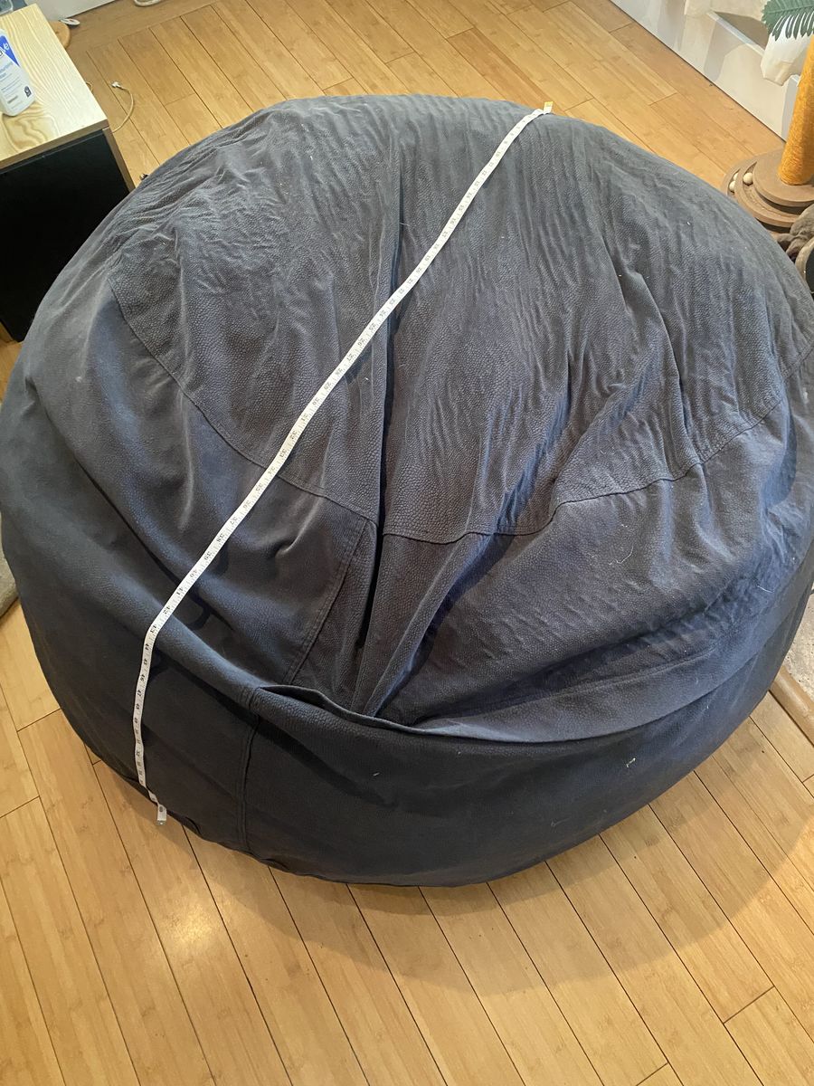 Big Bean Bag