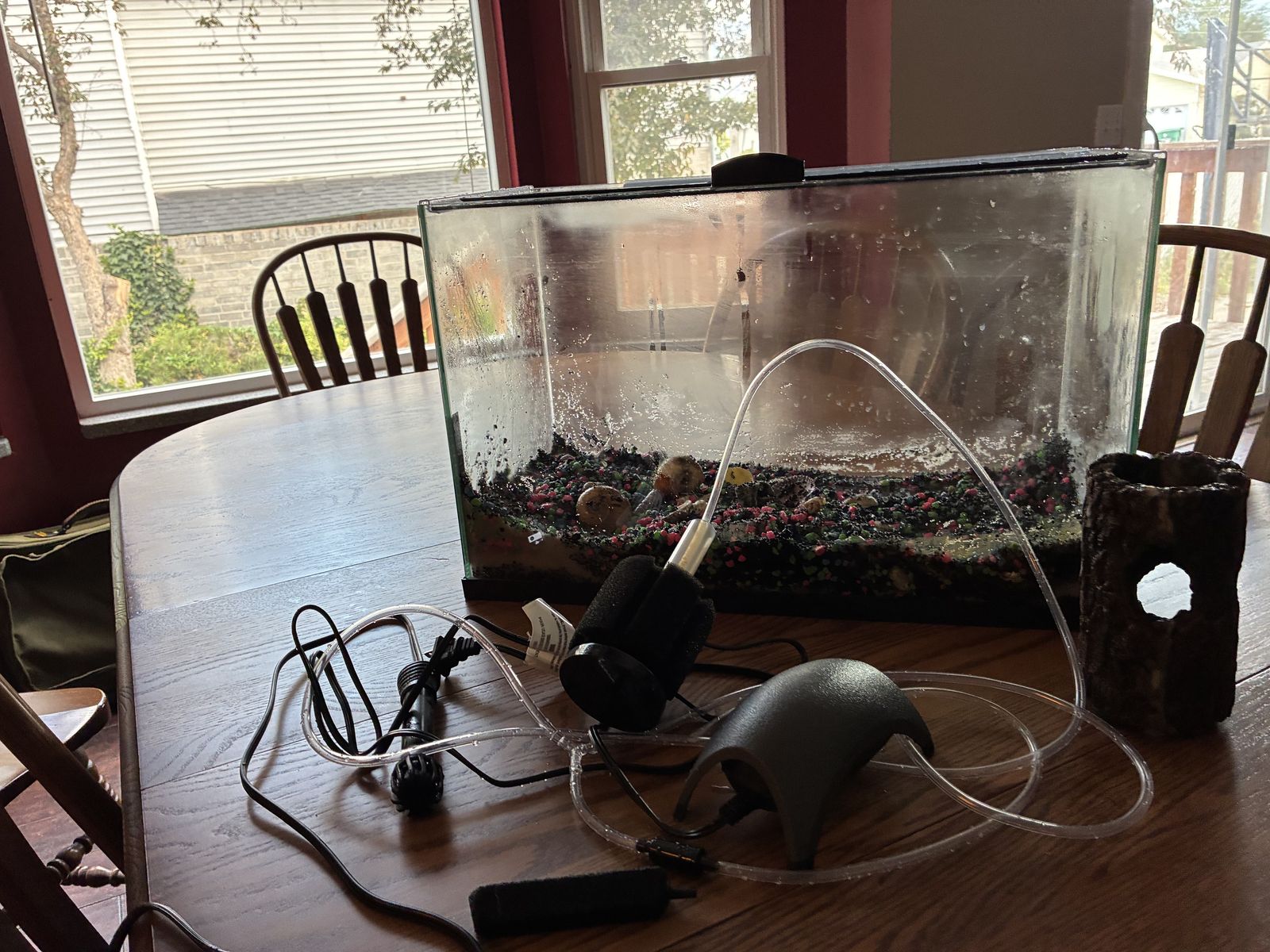 10 Gallon Aquarium, Complete Setup, Everything Included