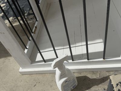 Dog crate (holds 2 dog)