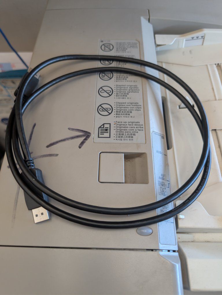 Display Cable 5 Foot