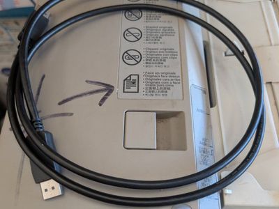 Display Cable 5 Foot
