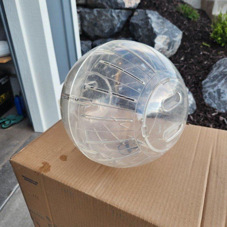 10 inch hamster ball