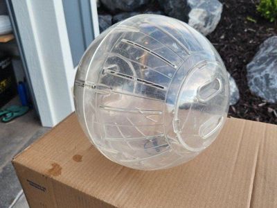 10 inch hamster ball