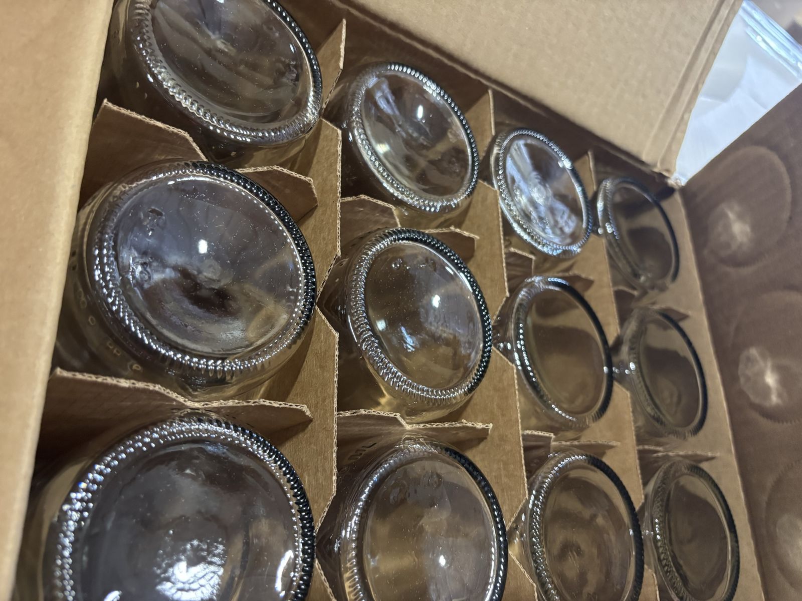 New Case of 12 Glass Bottles Homebrew Brewing Crafts