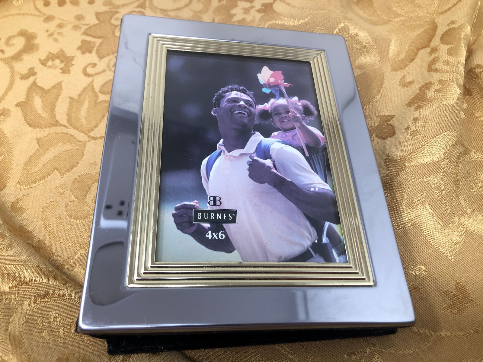 Vintage Burnes of Boston 4x6 Silver & Gold Weighted Photo Album / Brag Book