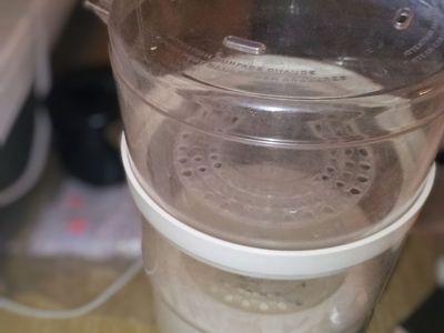 Veggie steamer