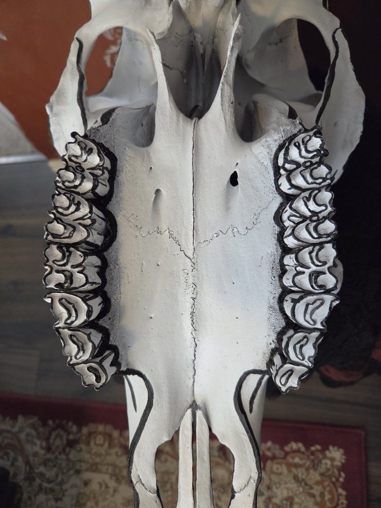 Main image 5