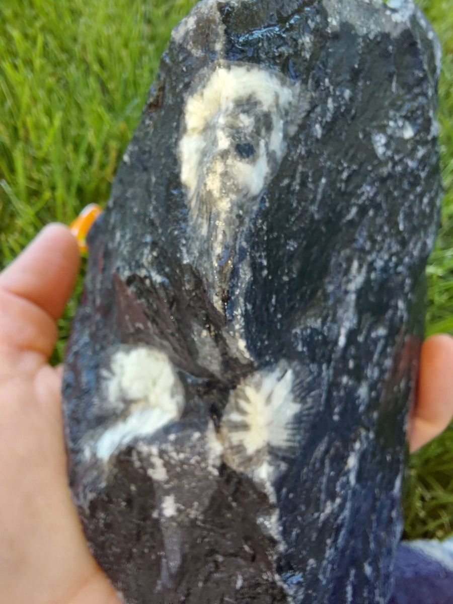 Main image 23