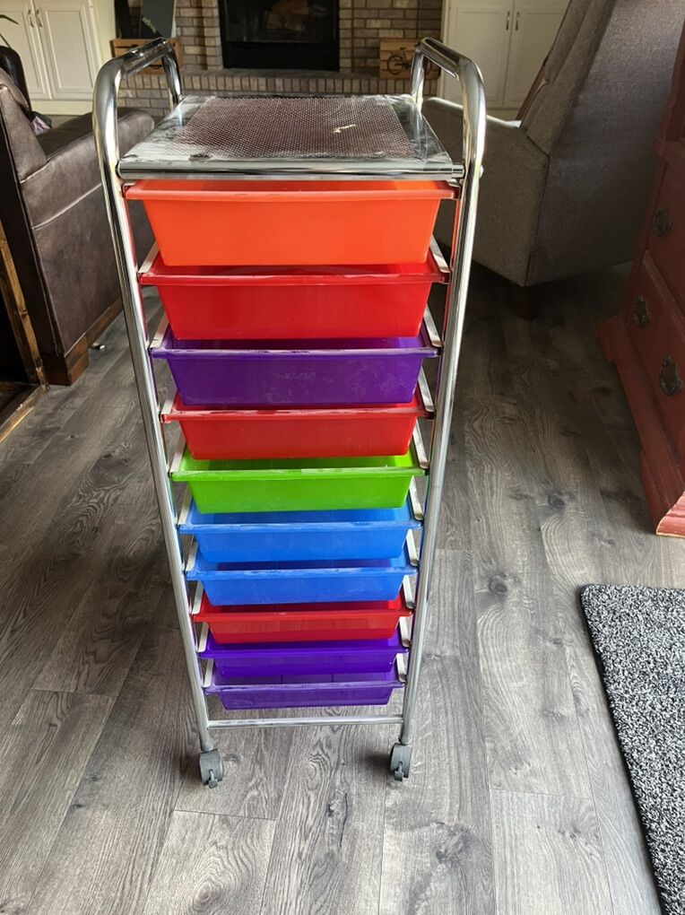 Multi-color Tote Storage Organizer