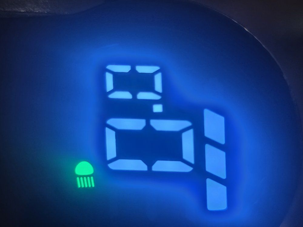 GoTrax Electric Scooter