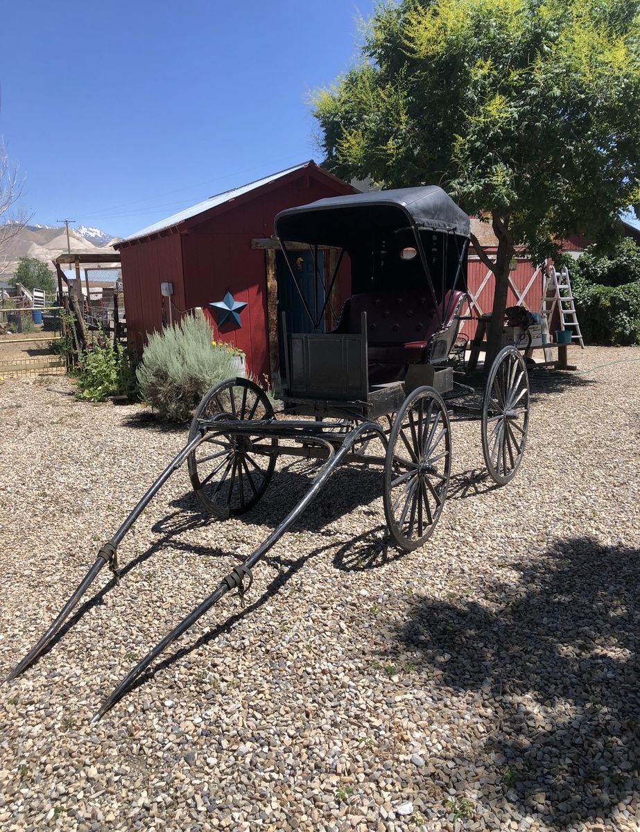 Amish Built Doctor's Buggy Carriage with Top
