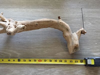 Natural Wood Branch Driftwood Piece Approx 24 Inches