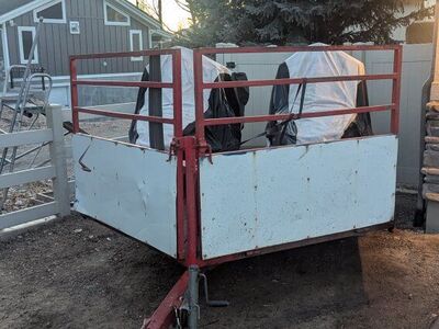 snowmobile trailer and 2 covers. composite decking