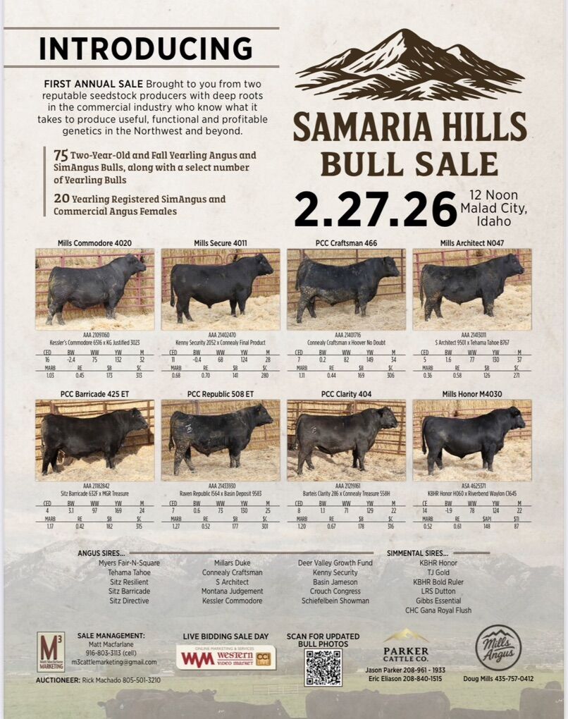 Bull & Heifer Sale