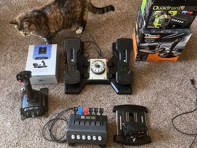 HOTAS flight simulator set up