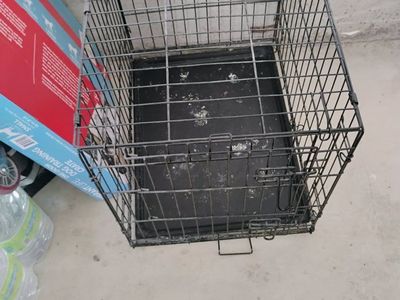 Vibrant Life One-Door Dog Training Crate - Small 24" L x 17.5" W x 20" H with Divider