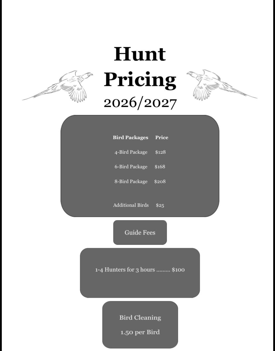 Upland bird hunts